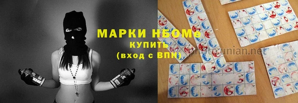 бошки Алексин