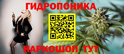хмурый Уссурийск