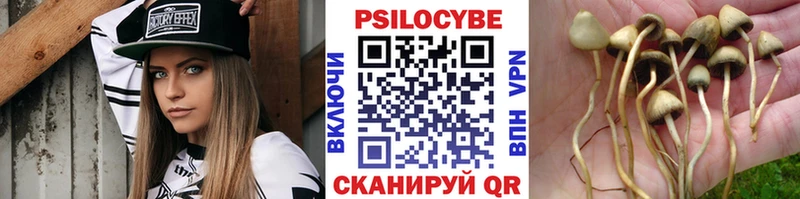 блэк спрут зеркало как найти закладки Темрюк Псилоцибиновые грибы GOLDEN TEACHER