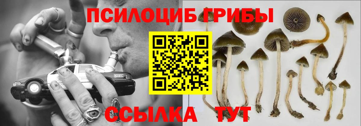 Псилоцибиновые грибы Magic Shrooms Темрюк
